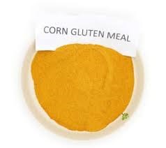 Corn Gluten Meal